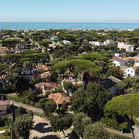 Exclusive Charming Villa - Free Parking 400 Mq Garden - Rome Airport - Roseto Villa Dream Фрегене Экстерьер фото
